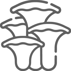 گلخانه